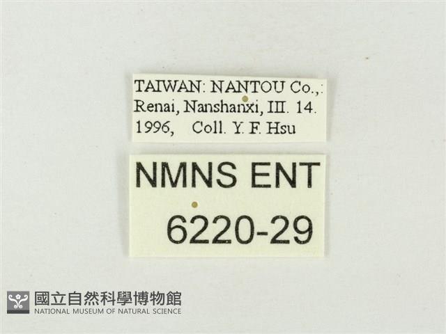 Accession Number:006220-00029 Collection Image, Figure 3, Total 3 Figures