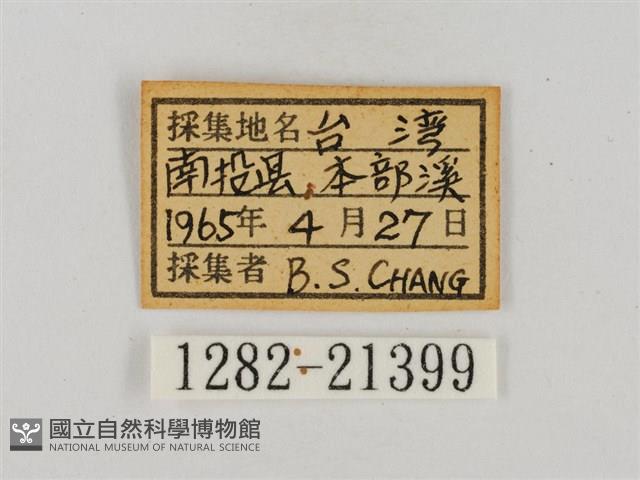 假禾弄蝶藏品圖，第3張