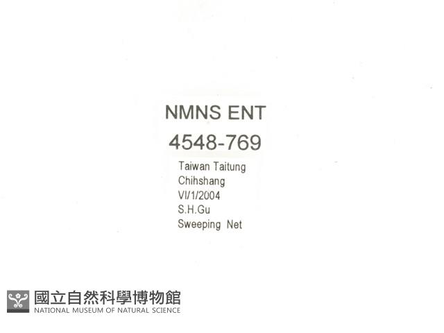 金艷騷金龜藏品圖，第2張