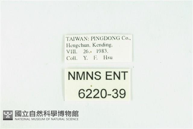 Accession Number:006220-00039 Collection Image, Figure 3, Total 3 Figures