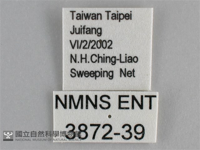 琺蛺蝶藏品圖，第3張