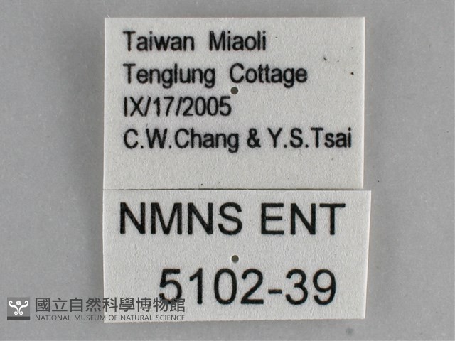 琉璃蛺蝶藏品圖，第3張