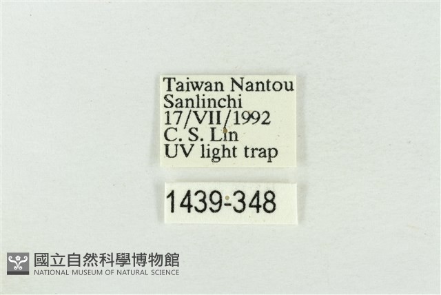 圍異波紋蛾藏品圖，第3張