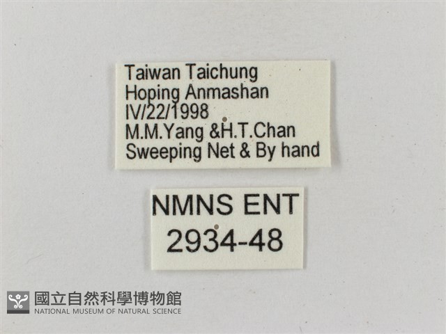 緋蛺蝶藏品圖，第3張