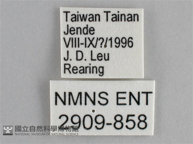 琺蛺蝶藏品圖，第3張