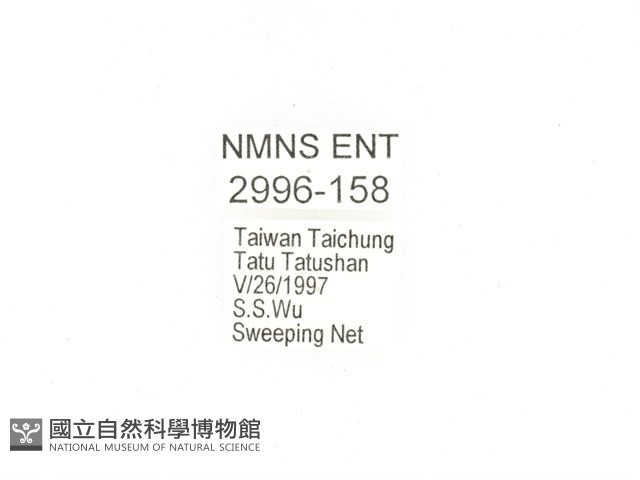銅點花金龜藏品圖，第2張