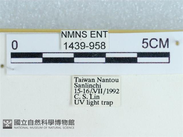 登錄號:001439-00958藏品圖，第3張