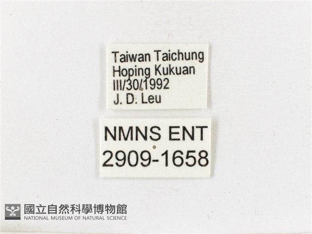 古眼蝶藏品圖，第3張