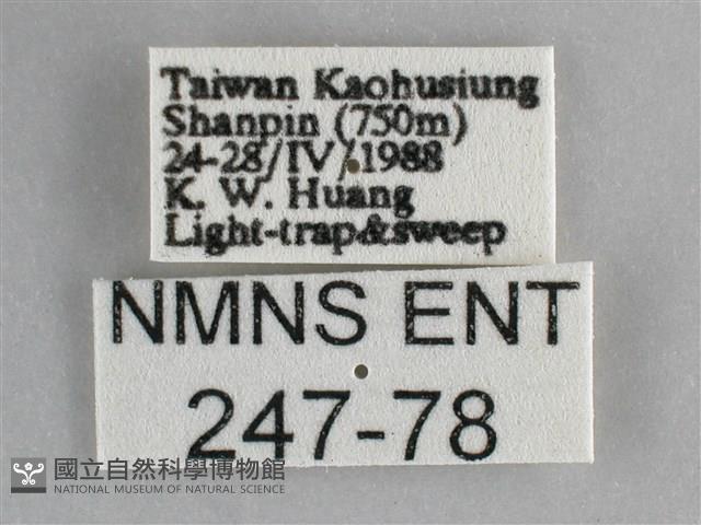 登錄號:000247-00078藏品圖，第3張