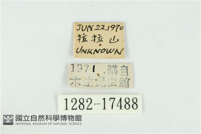 Accession Number:001282-17488 Collection Image, Figure 3, Total 3 Figures