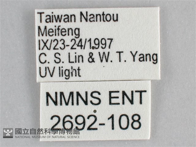 雙峰霜尺蛾藏品圖，第3張