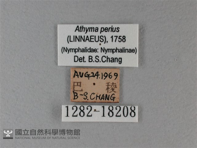 玄珠帶蛺蝶藏品圖，第3張