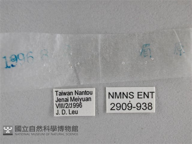 黯弄蝶藏品圖，第3張