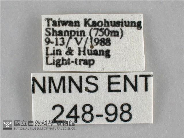 登錄號:000248-00098藏品圖，第3張
