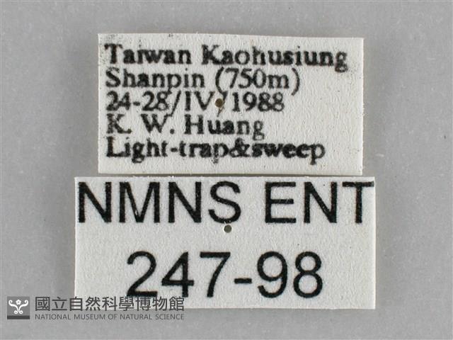 登錄號:000247-00098藏品圖，第3張