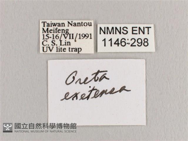 銀端帶鉤蛾藏品圖，第3張