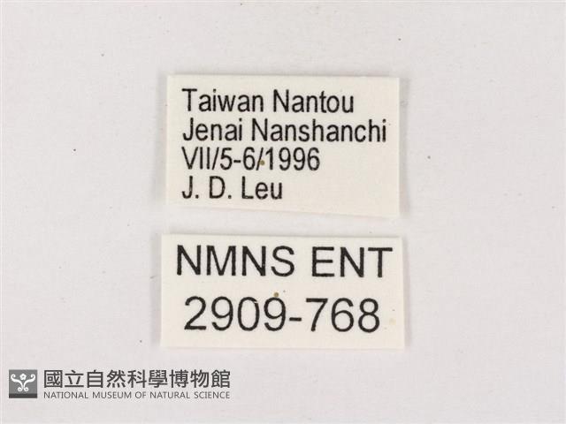 嫵琉灰蝶藏品圖，第3張