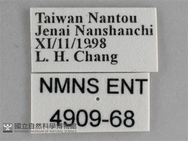 琉璃蛺蝶藏品圖，第3張