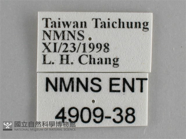 琺蛺蝶藏品圖，第3張