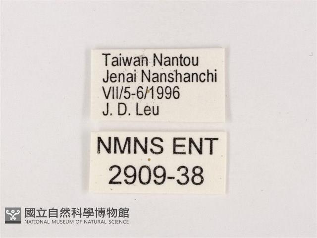 嫵琉灰蝶藏品圖，第3張