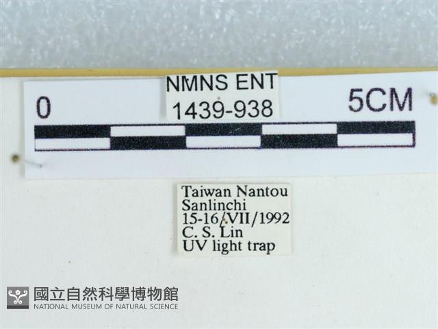 登錄號:001439-00938藏品圖，第3張