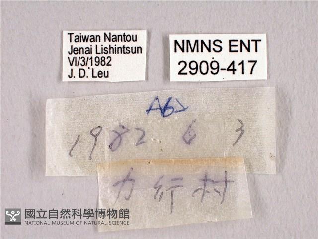 田中洒灰蝶藏品圖，第3張