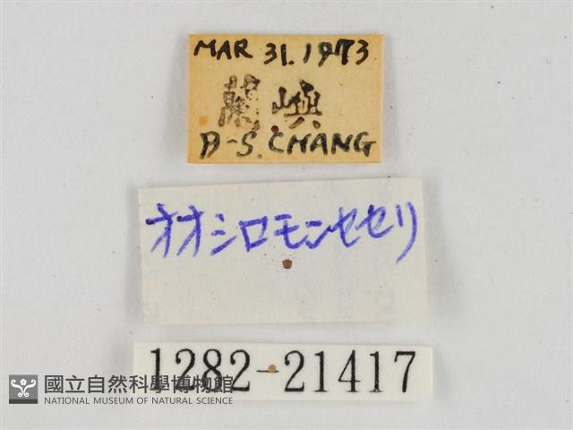 薑弄蝶藏品圖，第3張