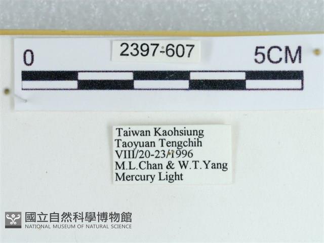 登錄號:002397-00607藏品圖，第3張