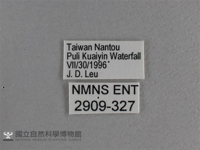 大紅蛺蝶藏品圖，第3張