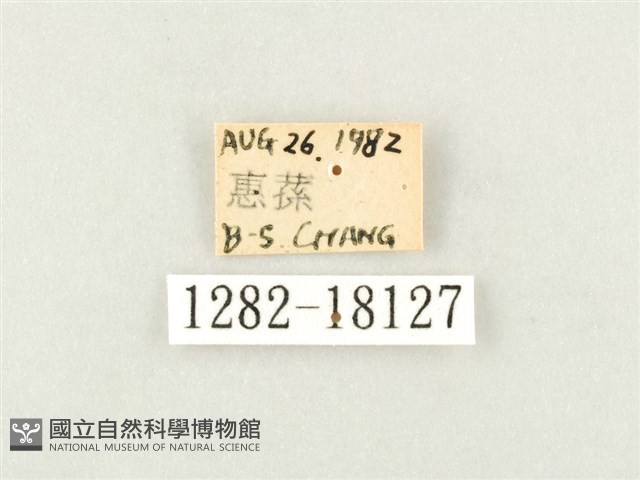 瑙蛺蝶藏品圖，第3張