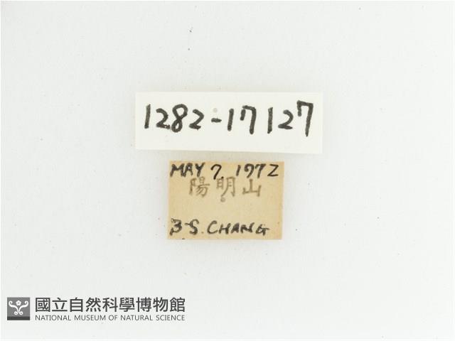 艷金龜藏品圖，第2張