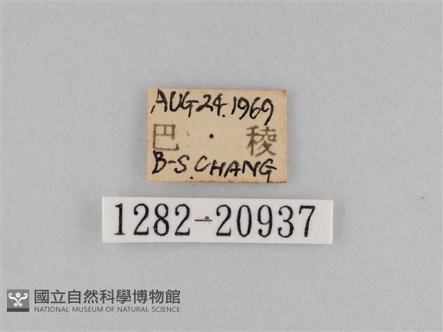 登錄號:001282-20397藏品圖，第3張