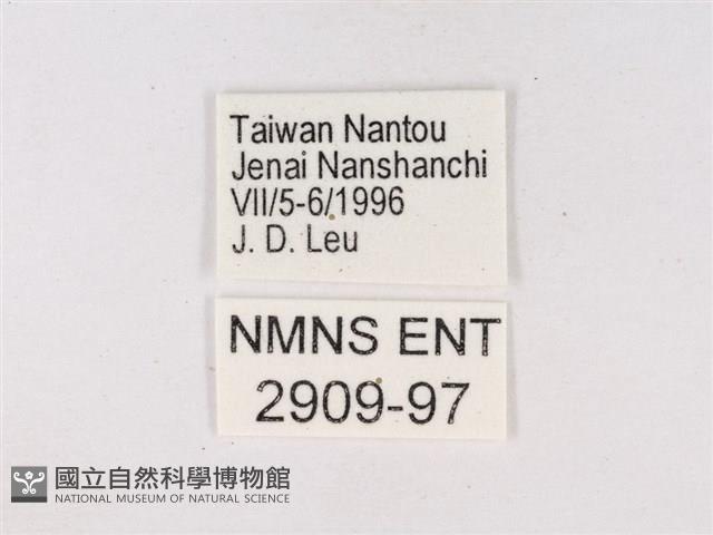 嫵琉灰蝶藏品圖，第3張