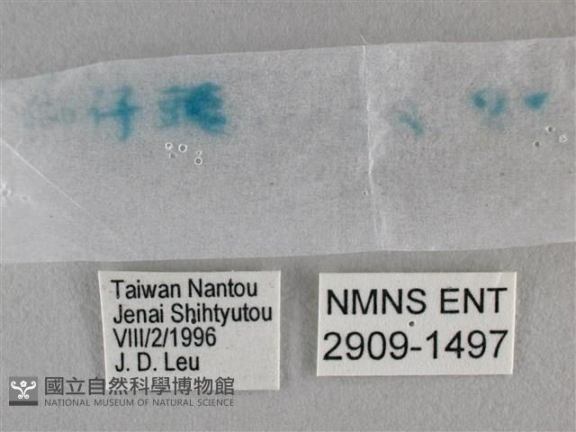 黯弄蝶藏品圖，第3張