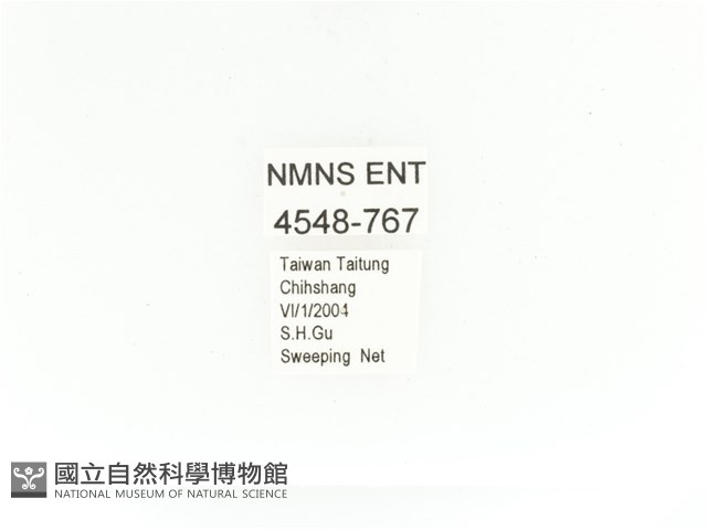 金艷騷金龜藏品圖，第2張