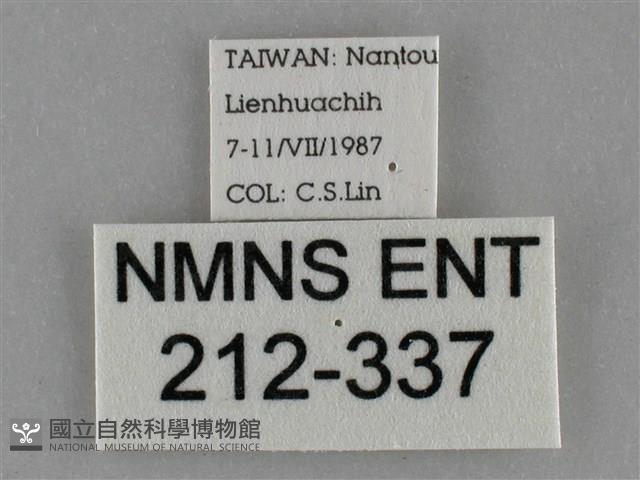 登錄號:000212-00337藏品圖，第3張
