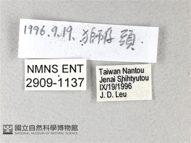 禾弄蝶藏品圖，第3張