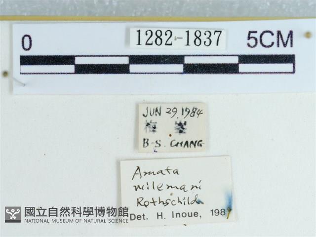 登錄號:001282-01837藏品圖，第3張