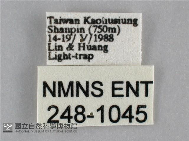 登錄號:000248-01045藏品圖，第3張