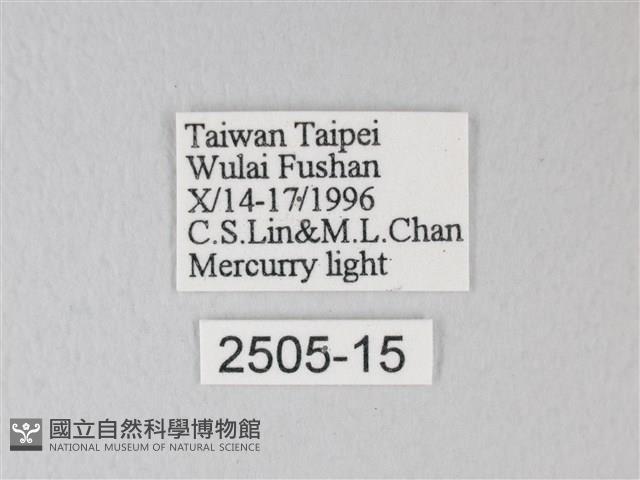 臺灣卵翅蛾藏品圖，第3張