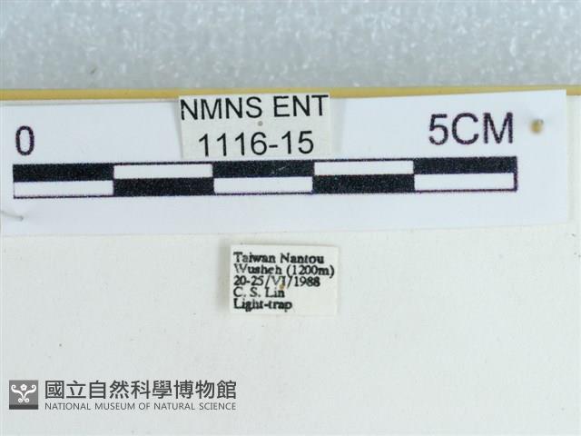 登錄號:001116-00015藏品圖，第3張