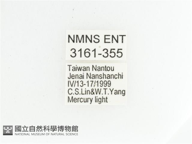 艷金龜藏品圖，第2張