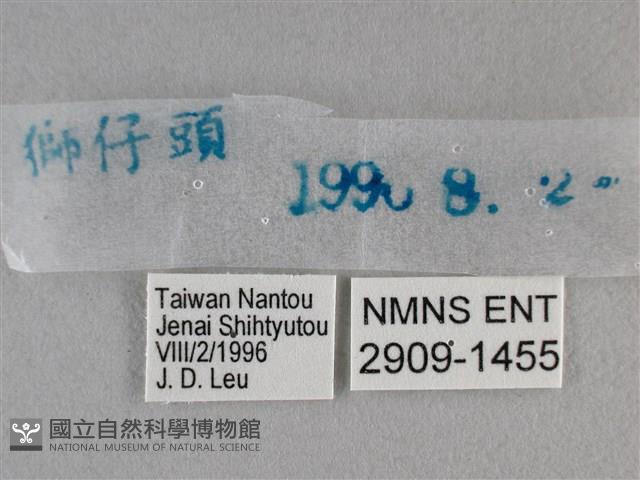 黯弄蝶藏品圖，第3張