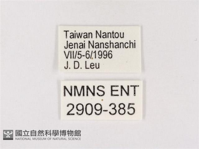 嫵琉灰蝶藏品圖，第3張