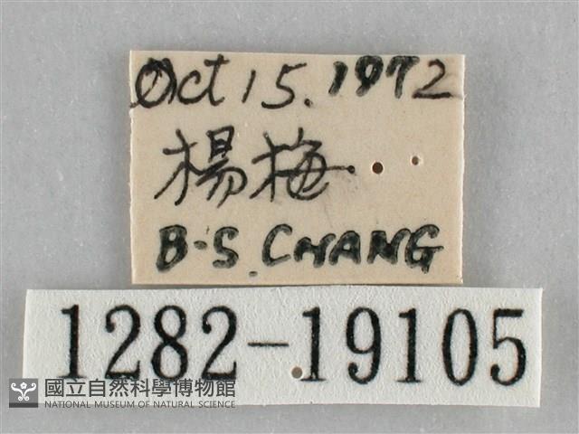 登錄號:001282-19105藏品圖，第3張