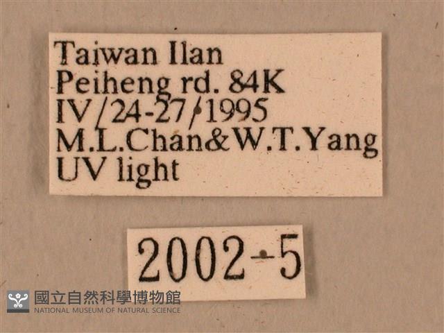 背中白天蛾藏品圖，第3張