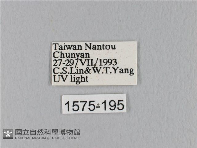 登錄號:001575-00195藏品圖，第3張