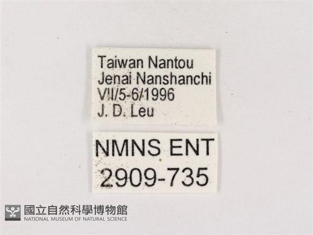嫵琉灰蝶藏品圖，第3張