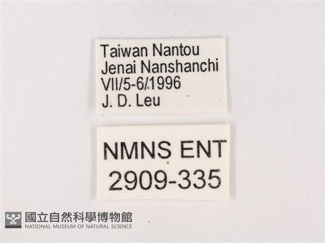 嫵琉灰蝶藏品圖，第3張