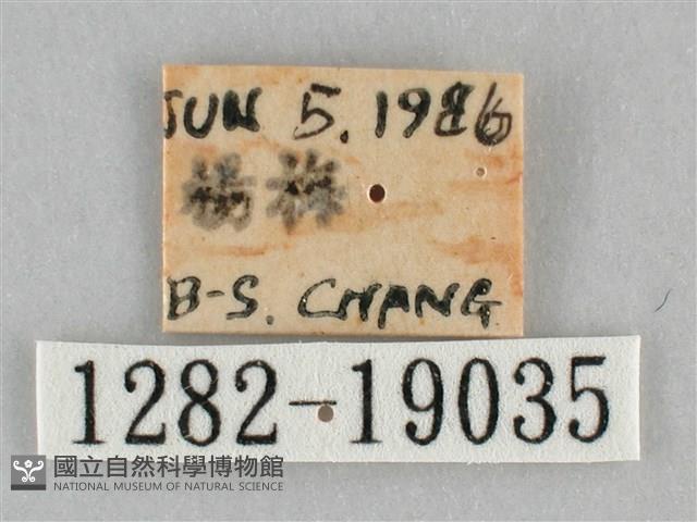 登錄號:001282-19035藏品圖，第3張